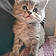 Oliver
