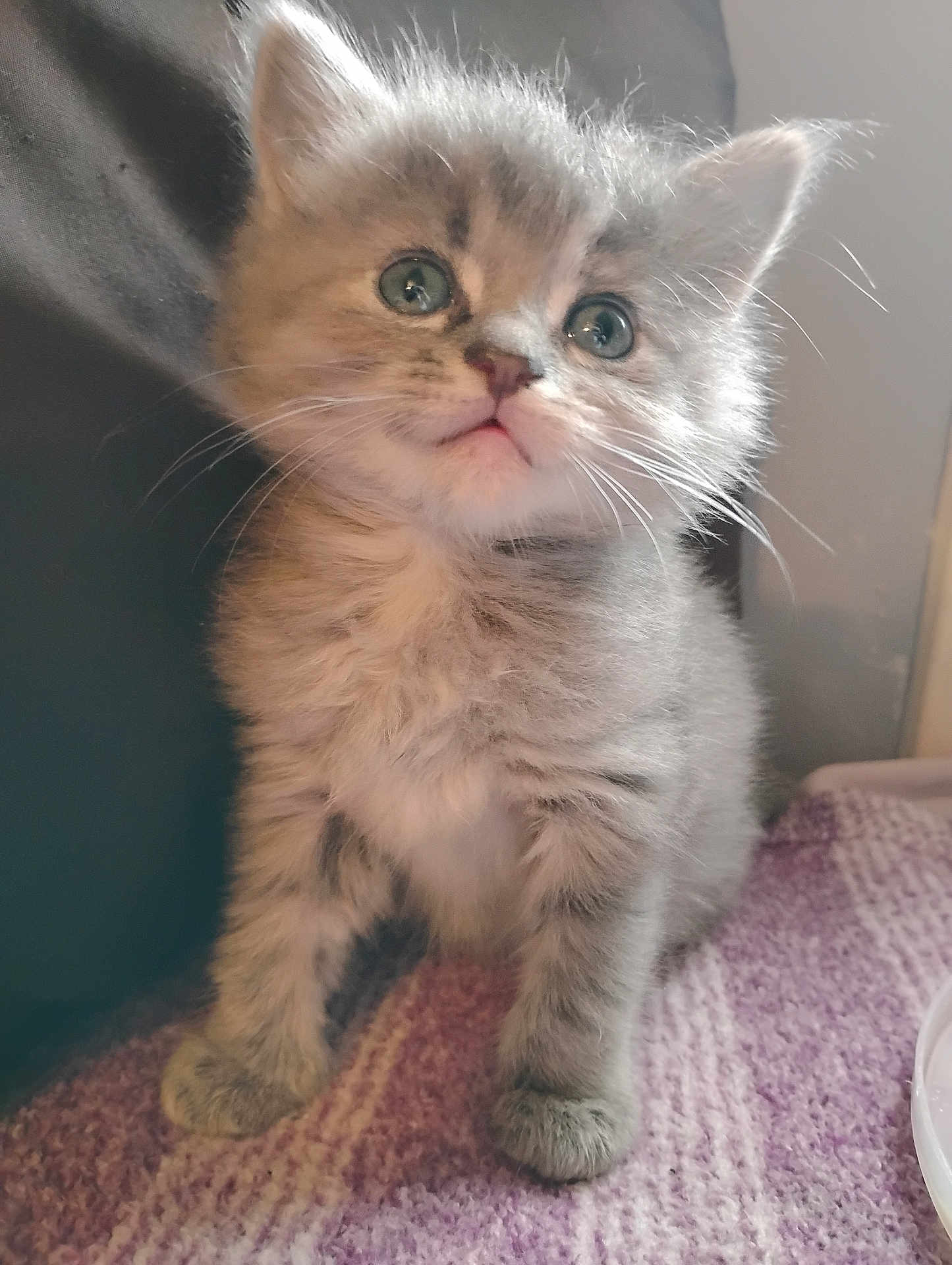Oliver