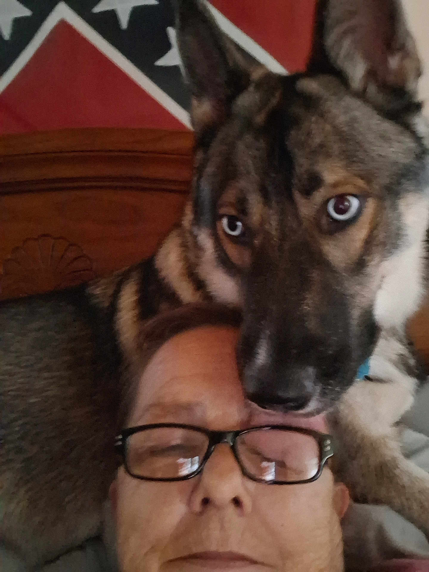 Aggie joined the competition — help win amazing prizes! person, dog, glasses, bed, headboard, flag, indoor, resting, closeup, affection, brown, black, fur, face, eyes, nose, sleepy, pet, companion, casual