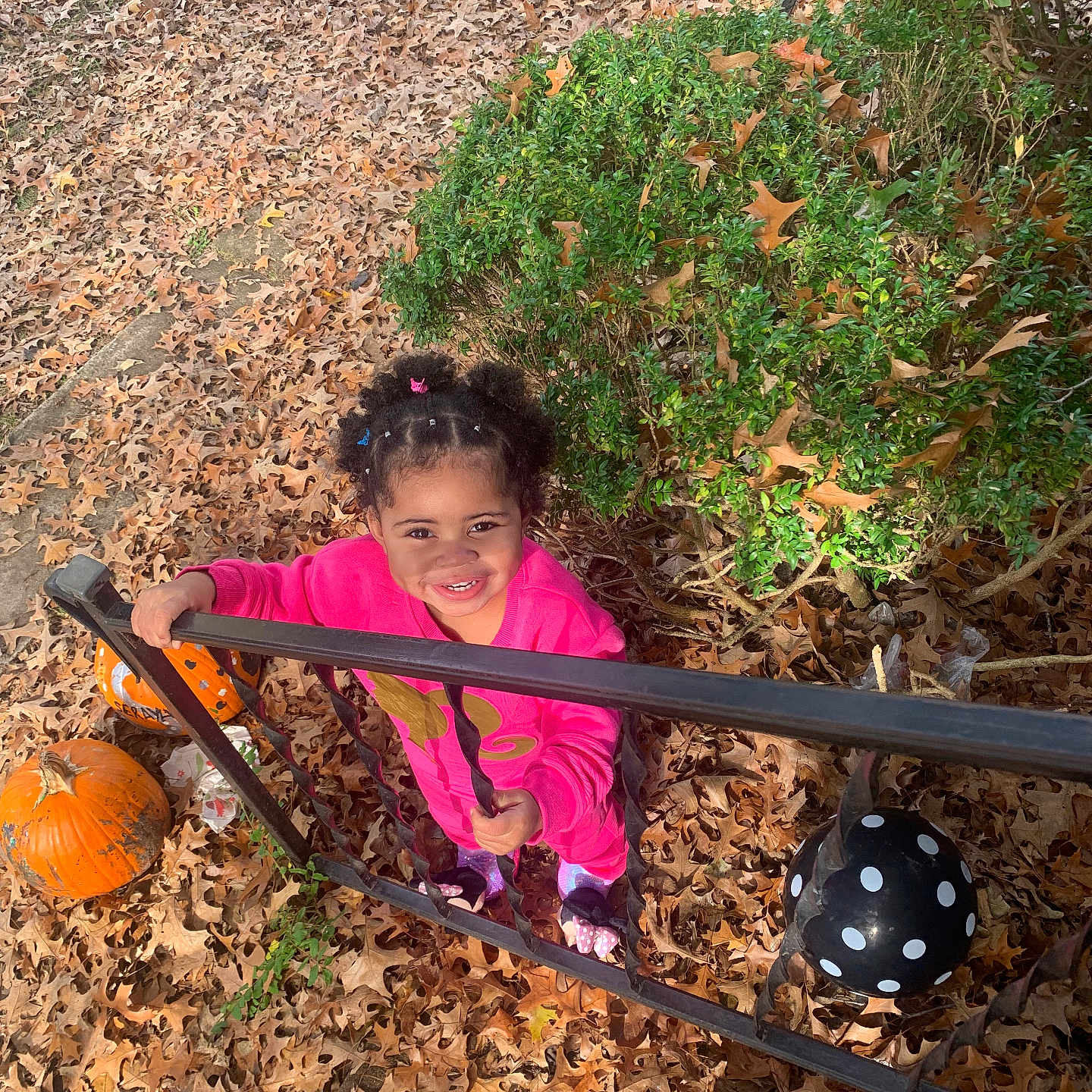 Serayah joined the competition — help win amazing prizes! ball, child, face, female, food, football, girl, grass, head, leaf, person, photography, plant, portrait, produce, pumpkin, soccer, soccerball, soil, vegetable