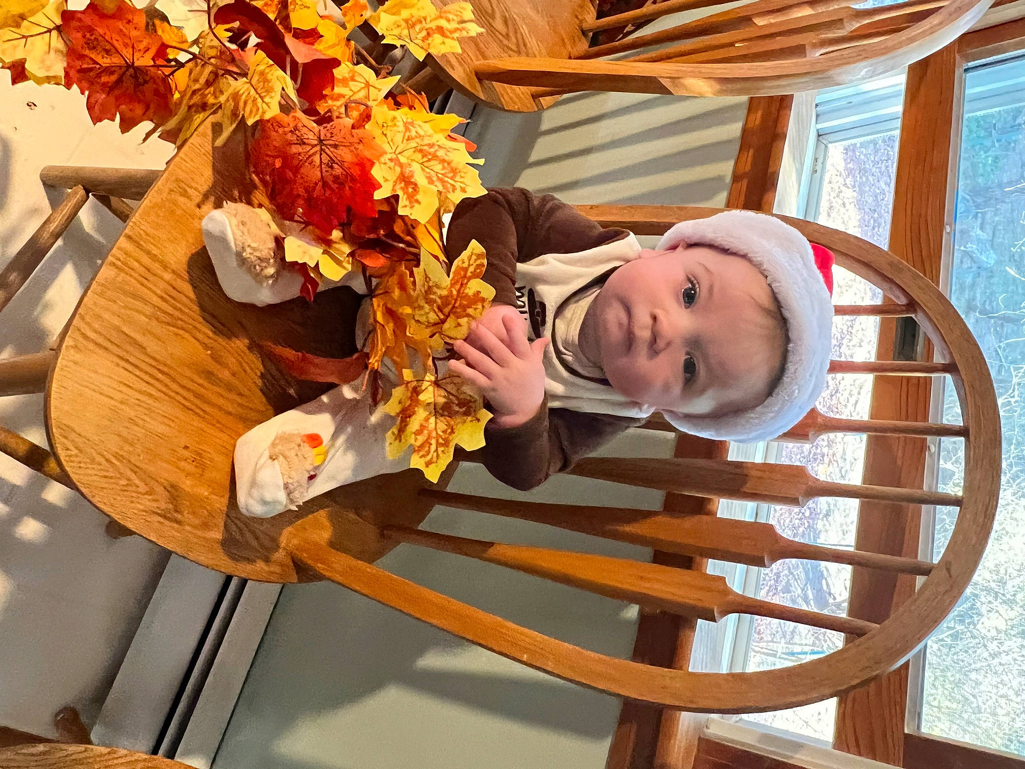 Brodie joined the competition — help win amazing prizes! baby, chair, child, cut_flowers, floral_design, floristry, flower, flower_arranging, flowerpot, fun, happy, houseplant, leisure, orange, person, plant, room, smile, toddler, tree