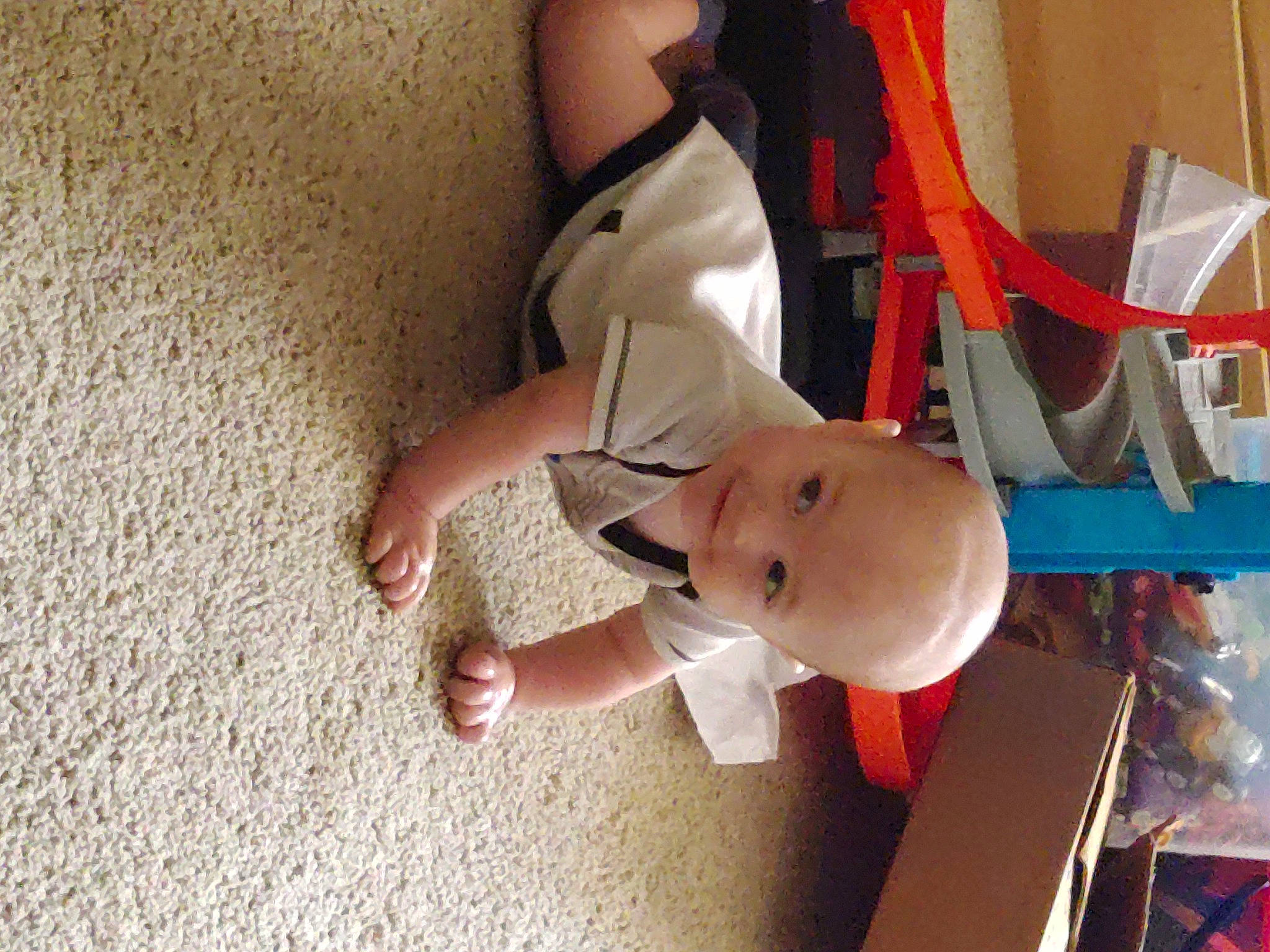 Artemis joined the competition — help win amazing prizes! abdomen, baby, baby_products, child, elbow, flooring, foot, fun, hand, human_leg, knee, leg, machine, nail, person, sock, thigh, thumb, toddler, wood