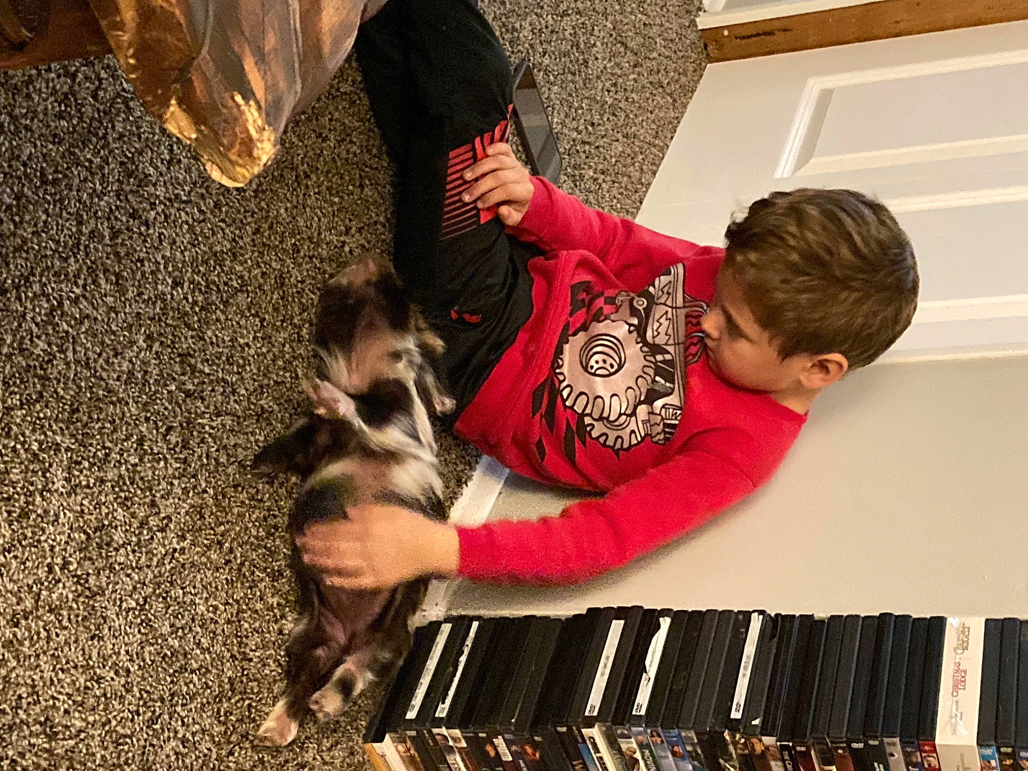 Moony joined the competition — help win amazing prizes! carnivore, child, companion_dog, dog, dog_breed, fawn, flooring, fun, fur, gesture, happy, human_leg, idiophone, room, shoe, sitting, sporting_group, toddler, tree, wood