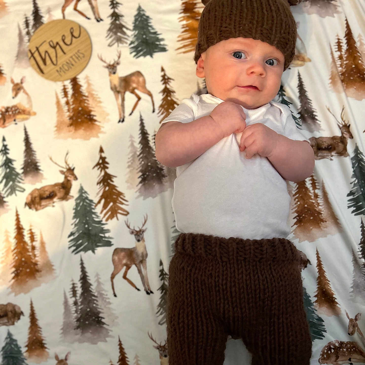 Weston joined the competition — help win amazing prizes! animal, antelope, baby, beanie, bird, bodypart, cap, clothing, face, finger, hand, hat, head, knitwear, pants, person, photography, plant, portrait, tree