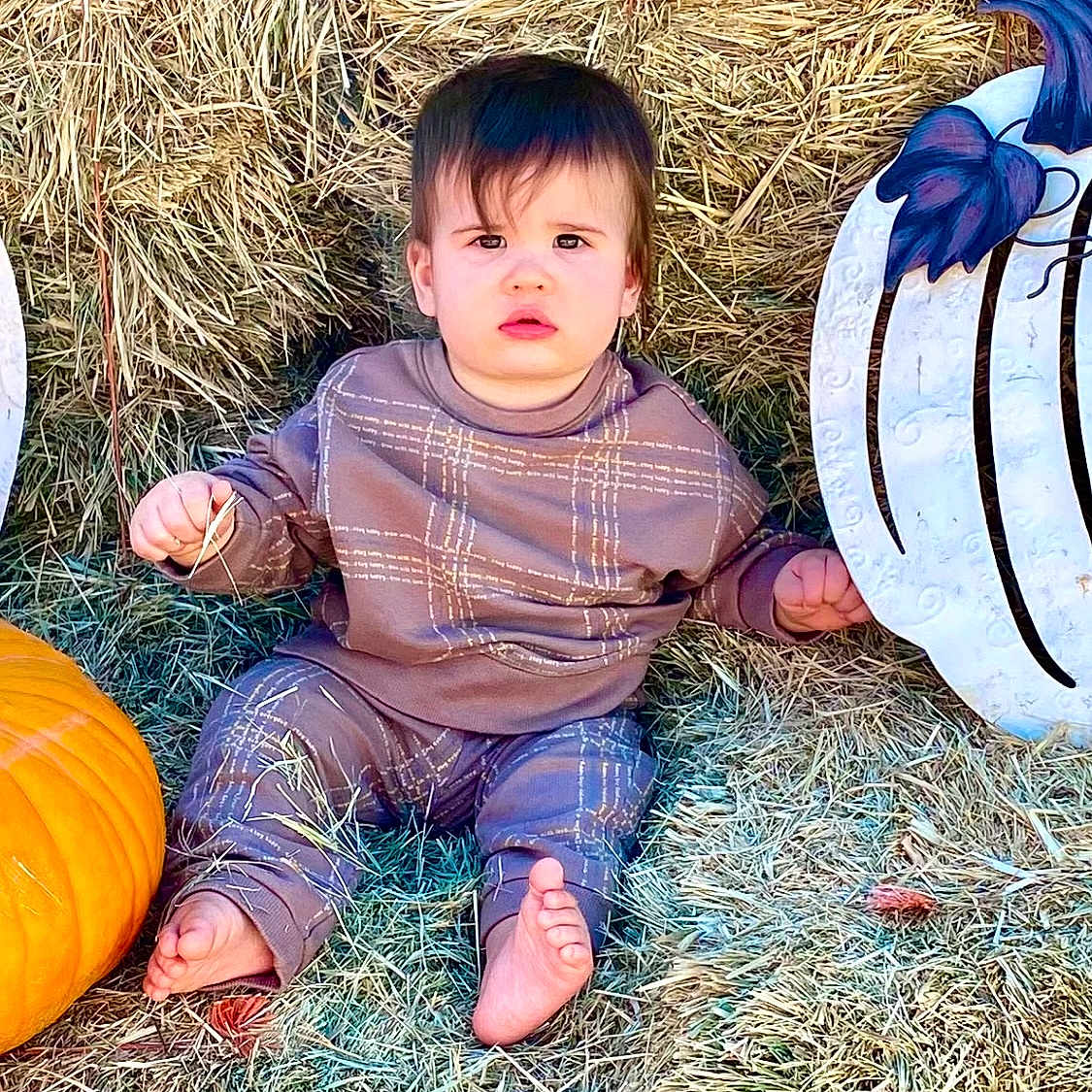Ledger is registered to the contest to win money with this photo: animal, bird, boy, child, countryside, face, food, head, male, nature, outdoors, person, photography, plant, portrait, produce, pumpkin, sitting, straw, vegetable