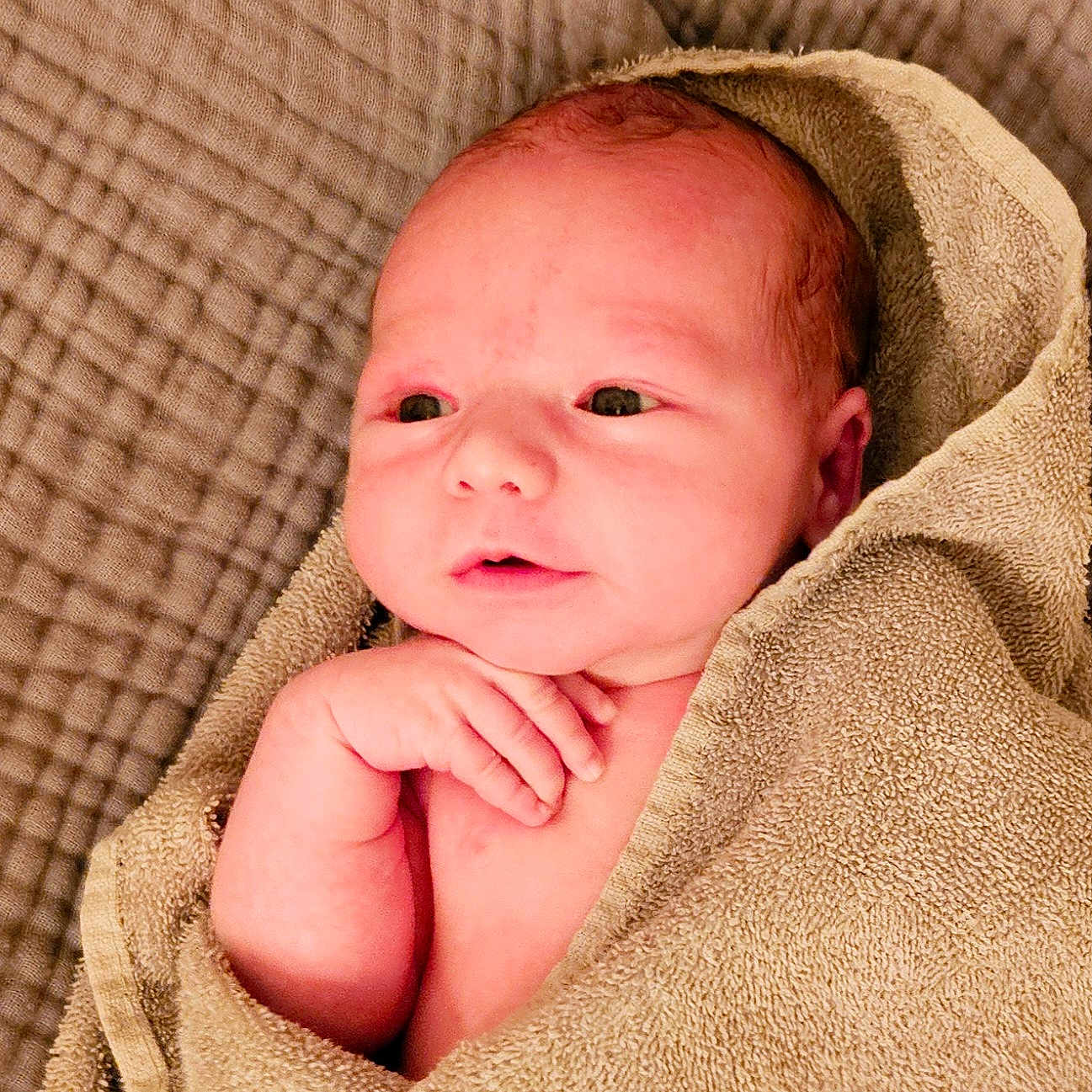 Grayson joined the competition — help win amazing prizes! baby, blanket, face, head, newborn, person, photography, portrait, quilt, sleeping, towel