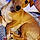 Bow Wow Chicken