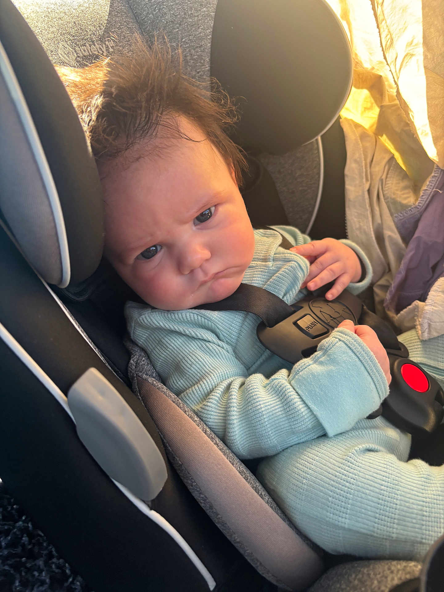 Shiloh is registered to the contest to win money with this photo: baby, car_seat, seatbelt, infant, blue_outfit, hair, face, expression, child, sunlight, indoor, clothing, sitting, hand, headrest, safety, person, portrait, closeup, young