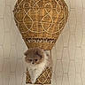 dog, puppy, fluffy, wicker, basket, hot_air_balloon, indoor, decor, patterned_wall, cute, small, animal, pet, furniture, hanging, brown, white, soft, cozy, funny