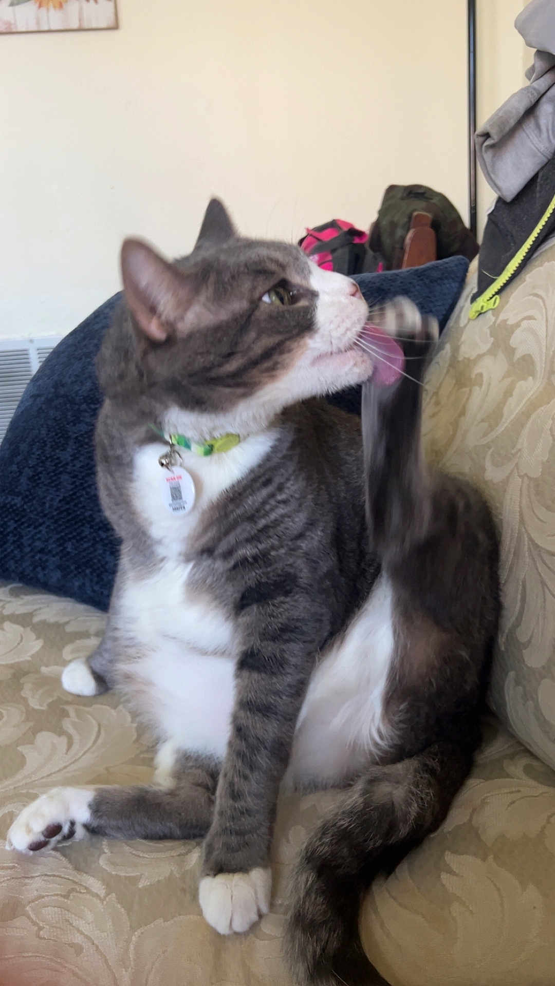 Milo