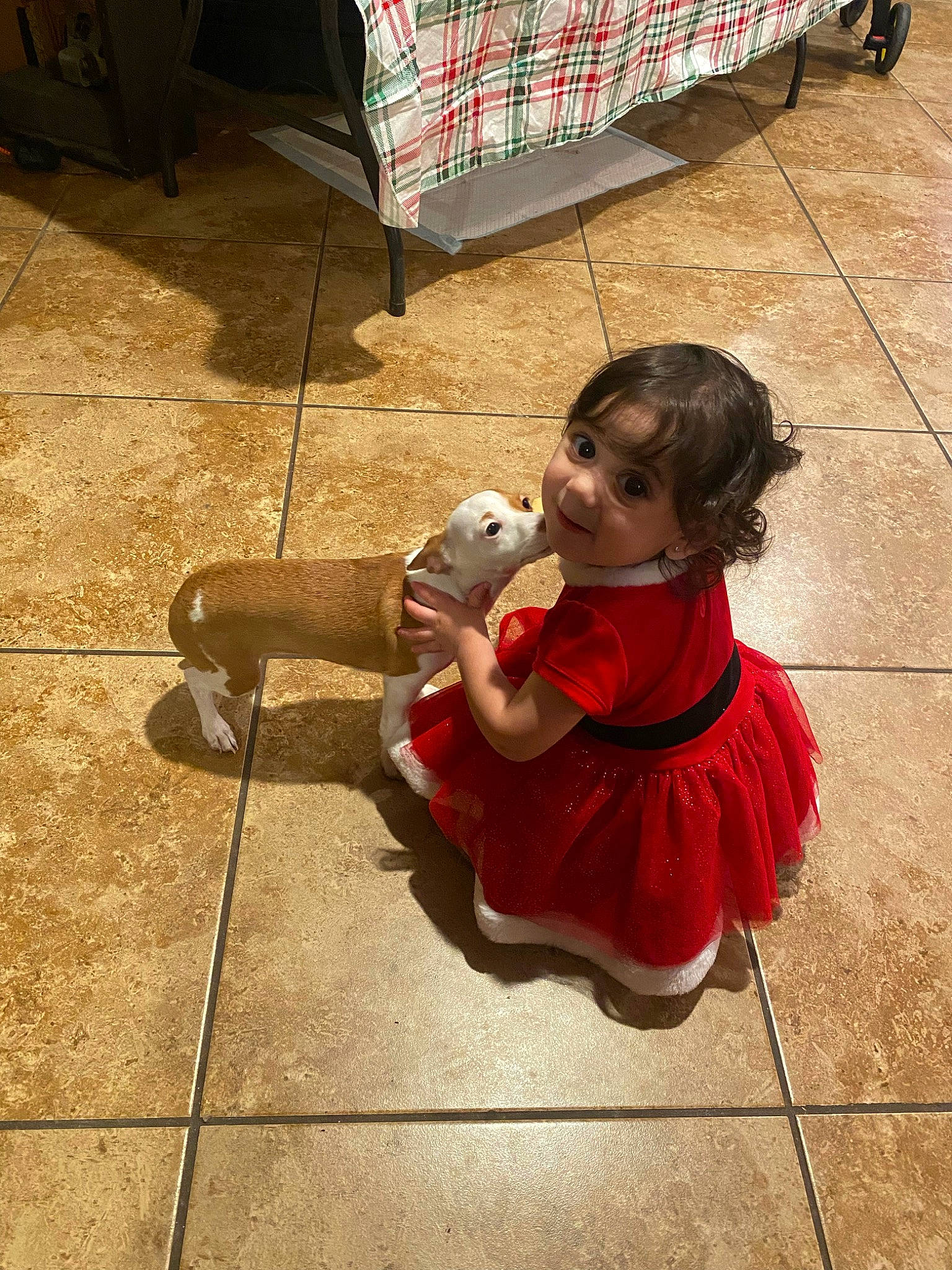 Rosalina joined the competition — help win amazing prizes! baby, child, floor, flooring, foot, fun, fur, grass, happy, human_leg, leg, leisure, person, play, sandal, shoe, sidewalk, sitting, toddler, toy