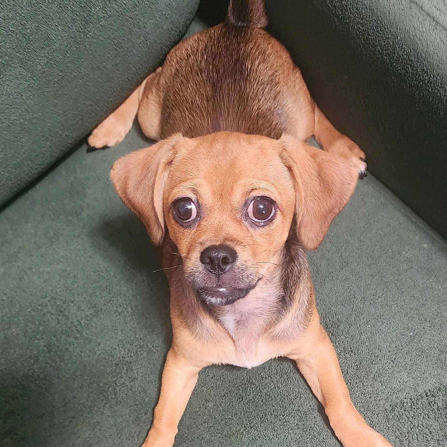 Peeka
