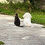 dog, cat, concrete, grass, tree, outdoor, pets, back_view, nature, greenery, peaceful, animal_pair, curly_fur, striped_fur, side_by_side, quiet_moment, daylight, garden, friendship, sitting