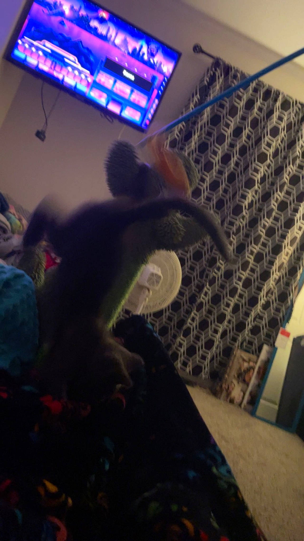 Leo joined the competition — help win amazing prizes! animation, computer, display_device, fish, flooring, fun, gadget, input_device, lighting, magenta, multimedia, music_venue, peripheral, personal_computer, purple, room, space, tail, visual_arts, world