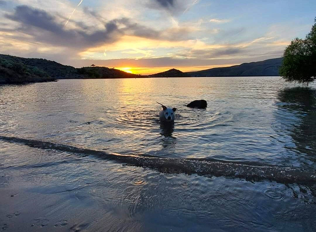 Star joined the competition — help win amazing prizes! afterglow, bank, boats_and_boating_equipment_and_supplies, cloud, coastal_and_oceanic_landforms, dusk, highland, horizon, lake, mountain, natural_landscape, nature, sky, sunlight, sunrise, sunset, tree, vehicle, water, watercraft