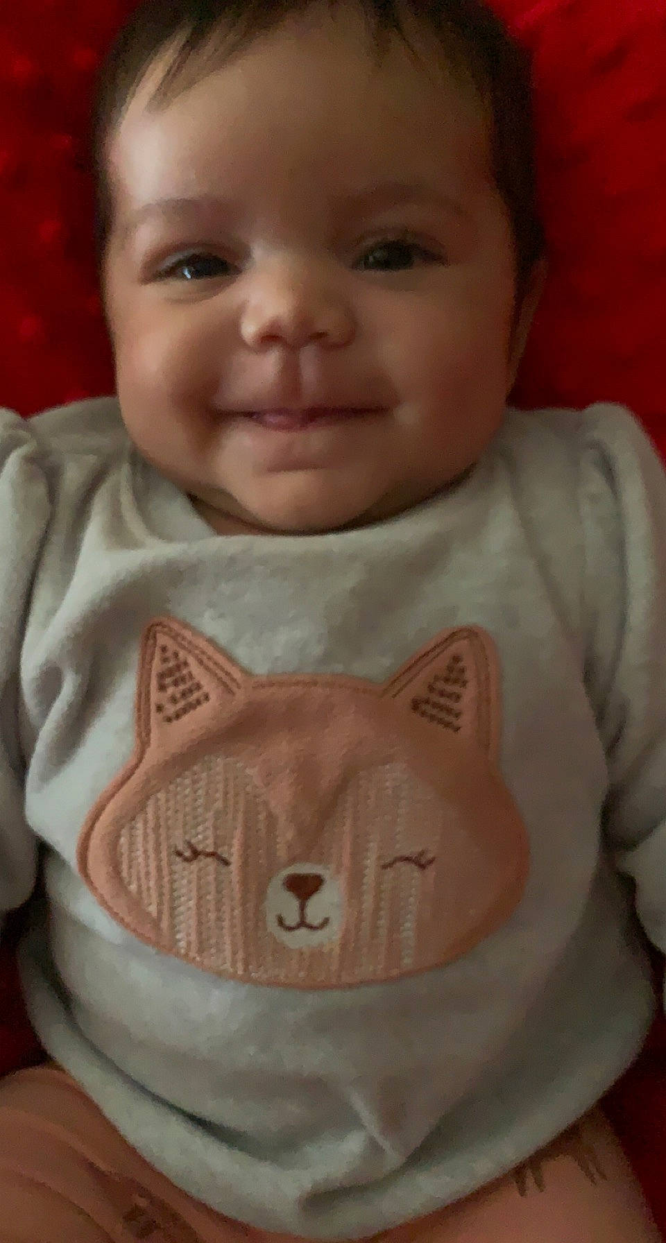 Bristol joined the competition — help win amazing prizes! art, baby_toddler_clothing, carnivore, cat, cheek, creative_arts, fawn, felidae, joy, linens, lip, neck, nose, person, skin, sleeve, small_to_medium_sized_cats, smile, t_shirt, toddler