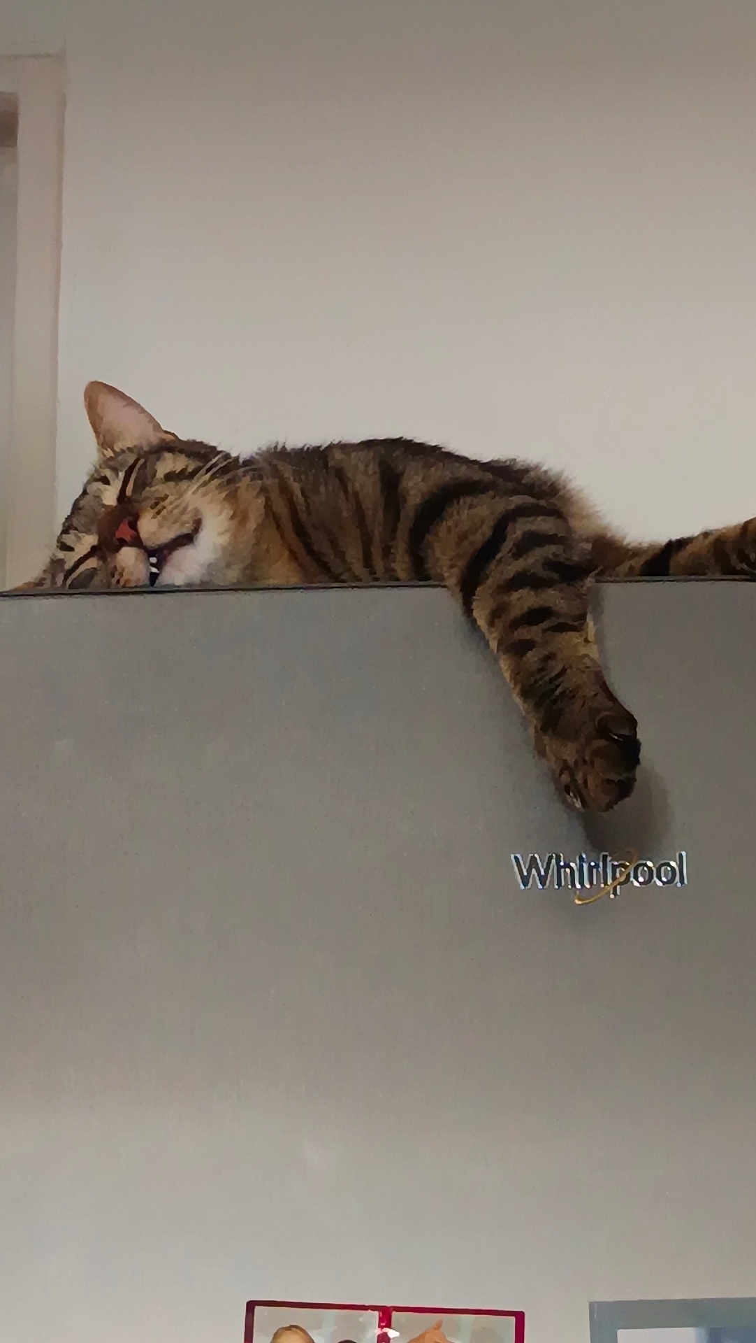 Neïko