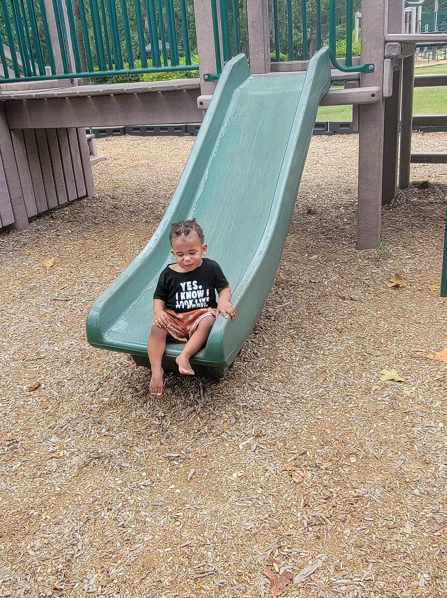 Ethan is registered to the contest to win money with this photo: child, chute, city, comfort, fun, grass, leisure, outdoor_play_equipment, outdoor_recreation, person, plant, play, playground, playground_slide, recreation, shade, shorts, sitting, smile, tree