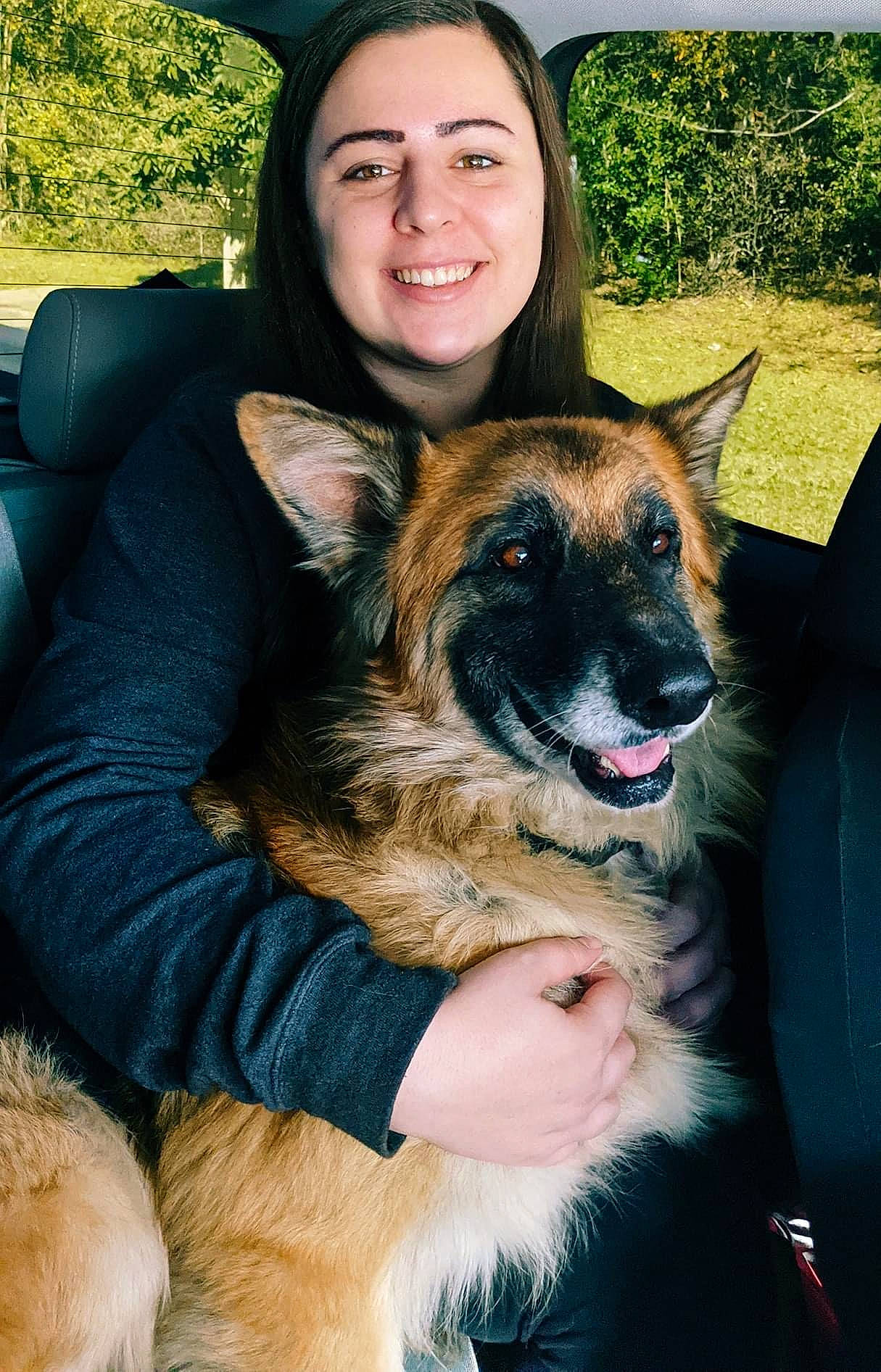 Rambo joined the competition — help win amazing prizes! brown_hair, canidae, carnivore, dog, dog_breed, facial_expression, fawn, fur, german_shepherd_dog, herding_dog, iris, jaw, king_shepherd, long_hair, natural_material, old_german_shepherd_dog, organ, snout, tooth, working_animal