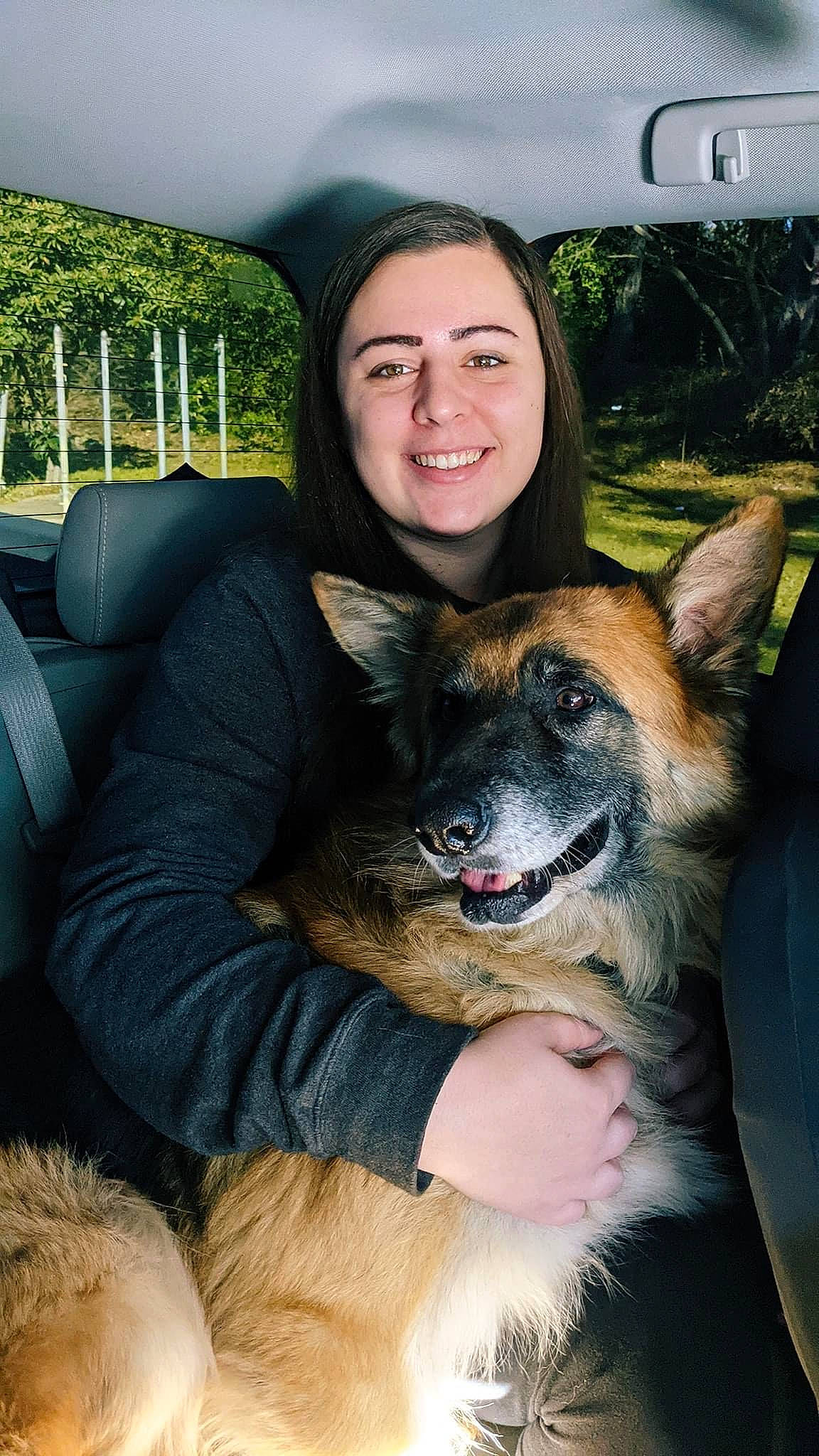 Rambo is registered to the contest to win money with this photo: car_seat, carnivore, comfort, dog, dog_breed, facial_expression, fawn, fur, german_shepherd_dog, human, interaction, iris, jaw, mammal, organ, skin, snout, tooth, vehicle_door, vertebrate