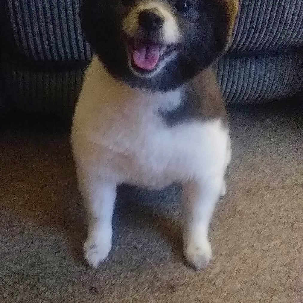 Bella