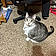 Zoey
