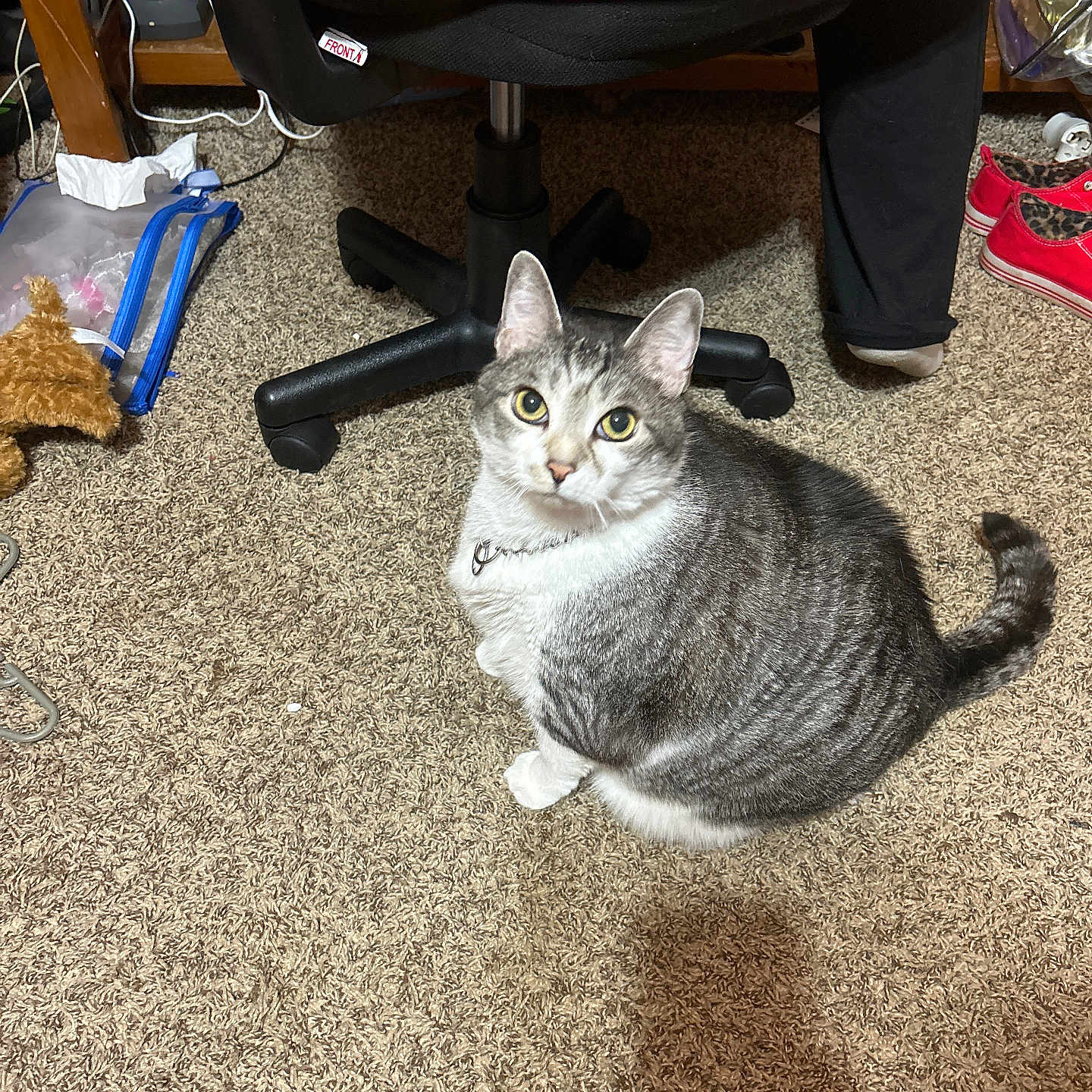 Zoey