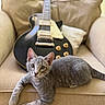 Gizmo joined the competition — help win amazing prizes! animal, cat, couch, ears, electric_guitar, eyes, feline, gray_cat, guitar, home, indoor, kitten, lying_down, musical_instrument, pet, portrait, relaxed, sitting, sofa, whiskers