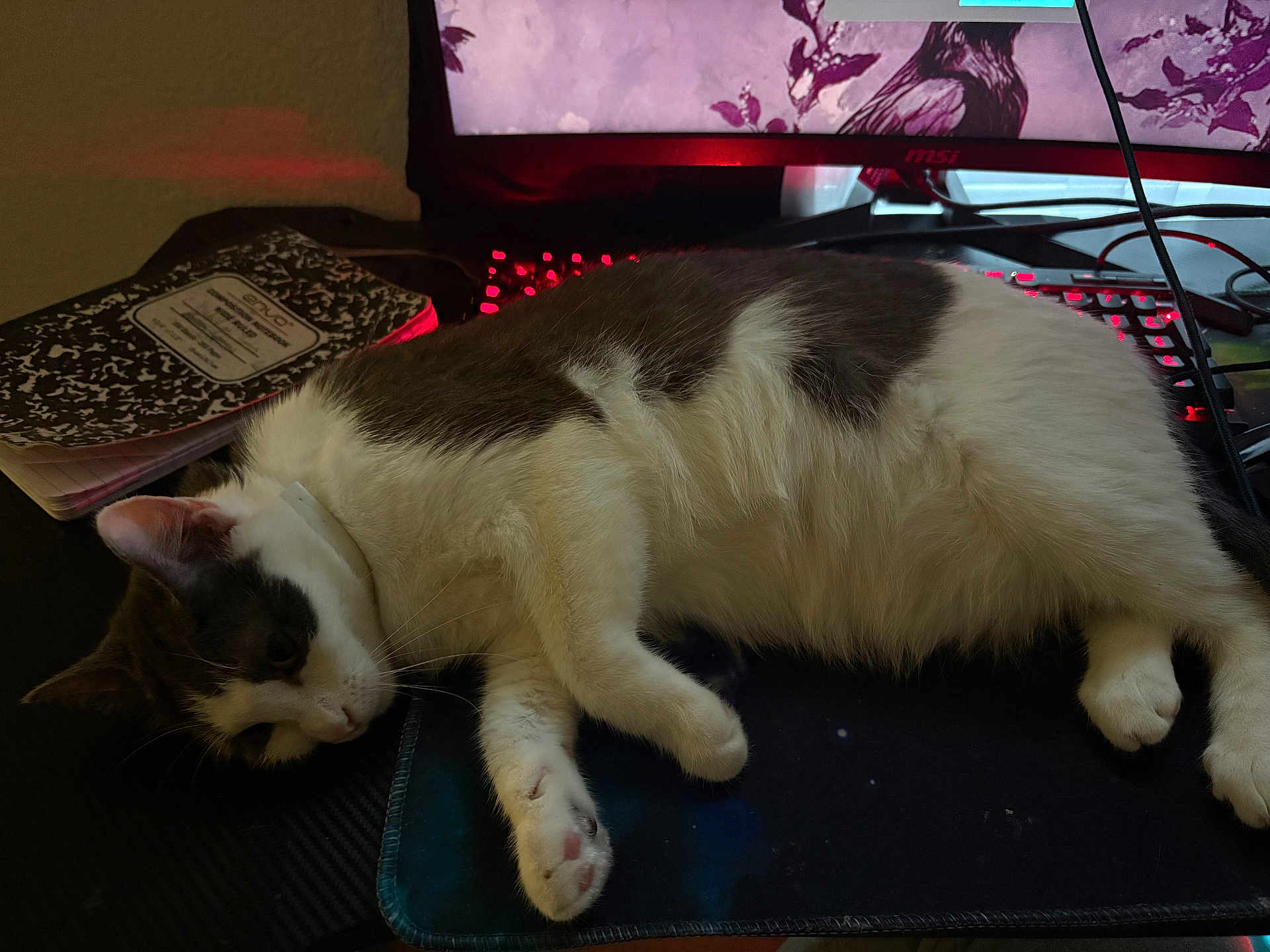 Luna