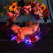Ellie Mae is registered to the contest to win money with this photo: newborn, baby, sleeping, flower_wreath, floral_arrangement, purple_lights, diaper, peaceful, infant, cute, decorative, soft_lighting, dark_background, colorful_flowers, portrait, resting, tender, adorable, celebration, cozy