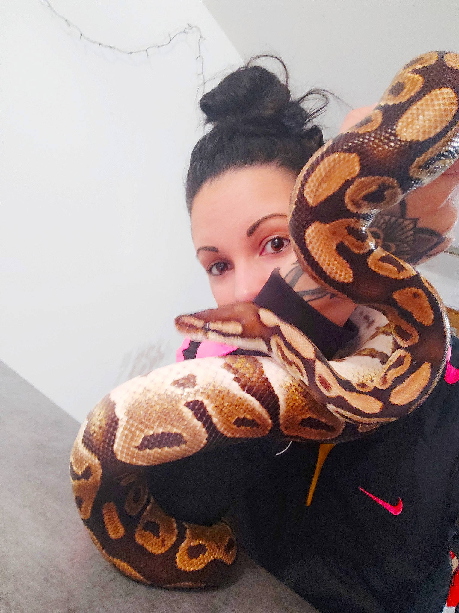 Pythus a rejoint le concours — aidez-le/la à gagner de superbes lots ! boa, boa_constrictor, burmese_python, neck, python, python_family, reptile, rock_python, scaled_reptile, serpent, snake