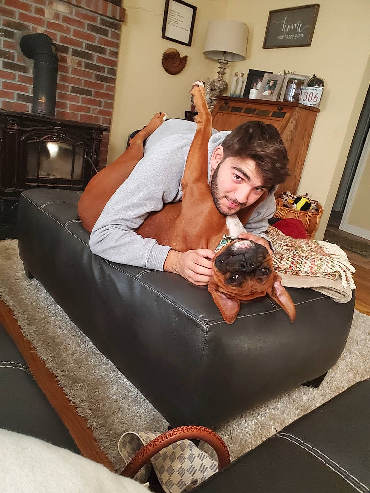 Lilly is registered to the contest to win money with this photo: comfort, companion_dog, couch, fawn, furniture, leg, leisure, room, sitting