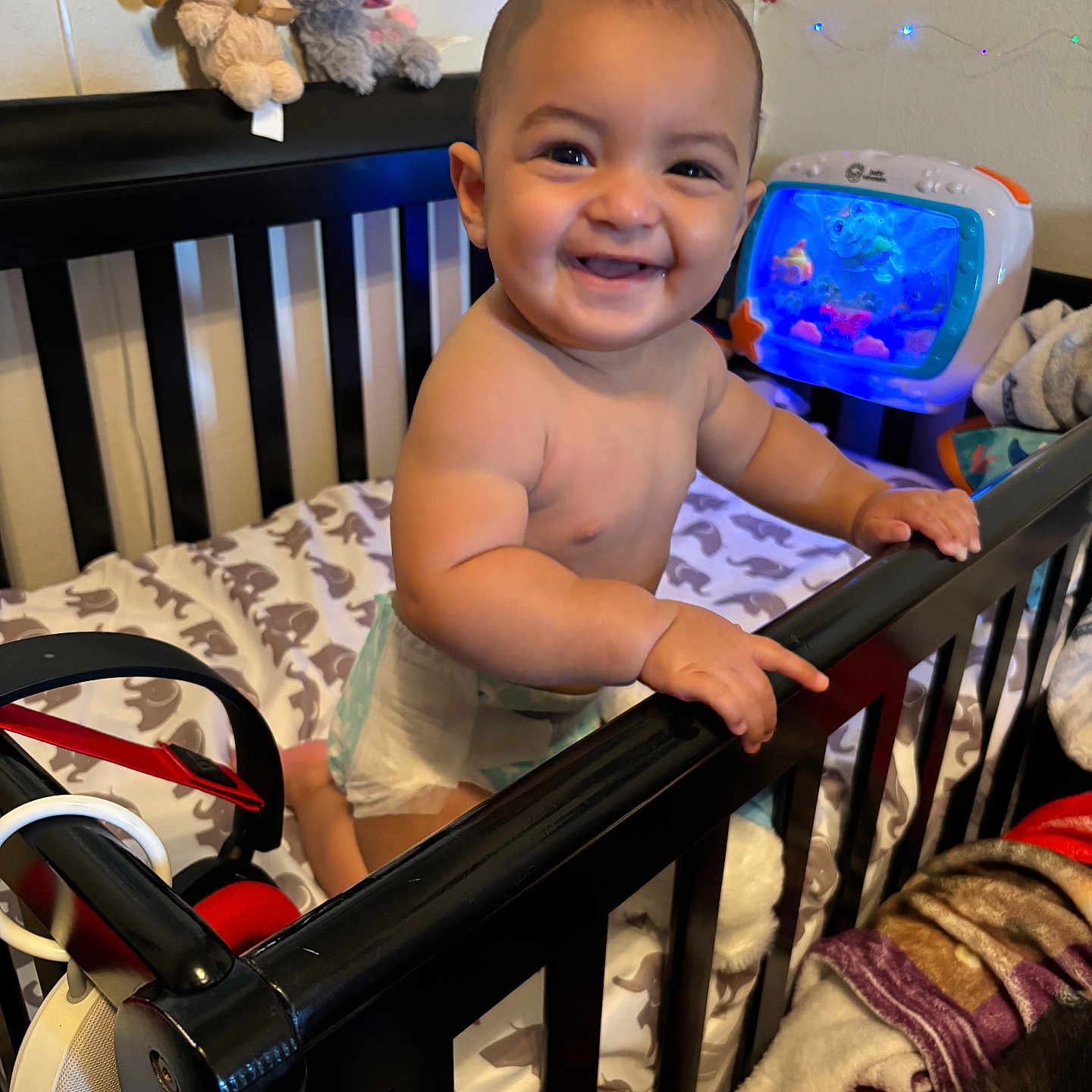 Malakaii is registered to the contest to win money with this photo: baby, bedroom, blanket, child, clothing, crib, diaper, face, furniture, hand, happy, home, indoor, nightlight, person, playful, smile, stuffed_animal, toddler, toy