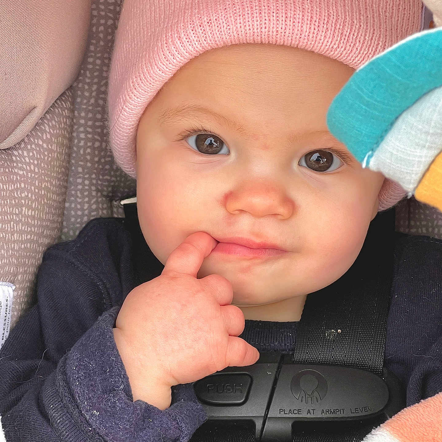Josie is registered to the contest to win money with this photo: baby, baseballcap, beanie, bodypart, bonnet, cap, clothing, coat, face, finger, hand, happy, hat, head, hood, jacket, pants, person, photography, portrait