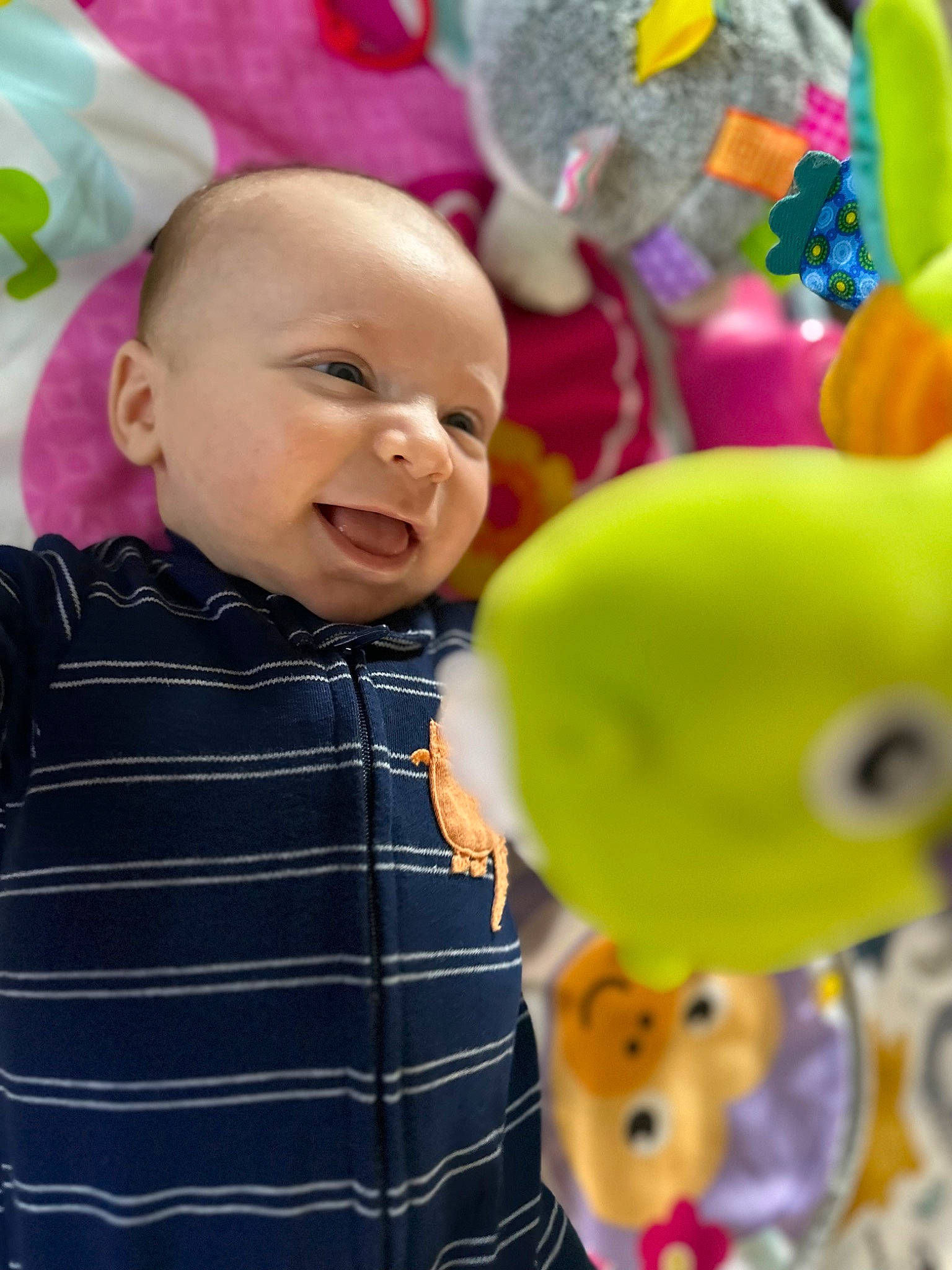 Blaize is registered to the contest to win money with this photo: baby, baby_laughing, baby_toddler_clothing, cheek, child, event, facial_expression, fun, happy, magenta, mammal, people_in_nature, person, pink, plant, product, sleeve, smile, textile, toddler