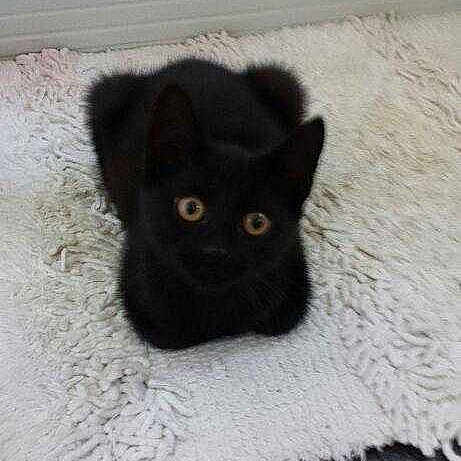 Trevor is registered to the contest to win money with this photo: