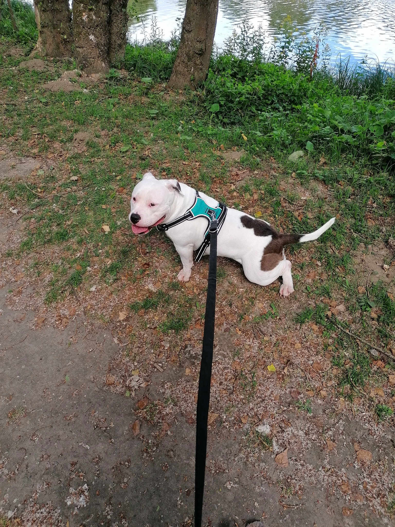 Nina