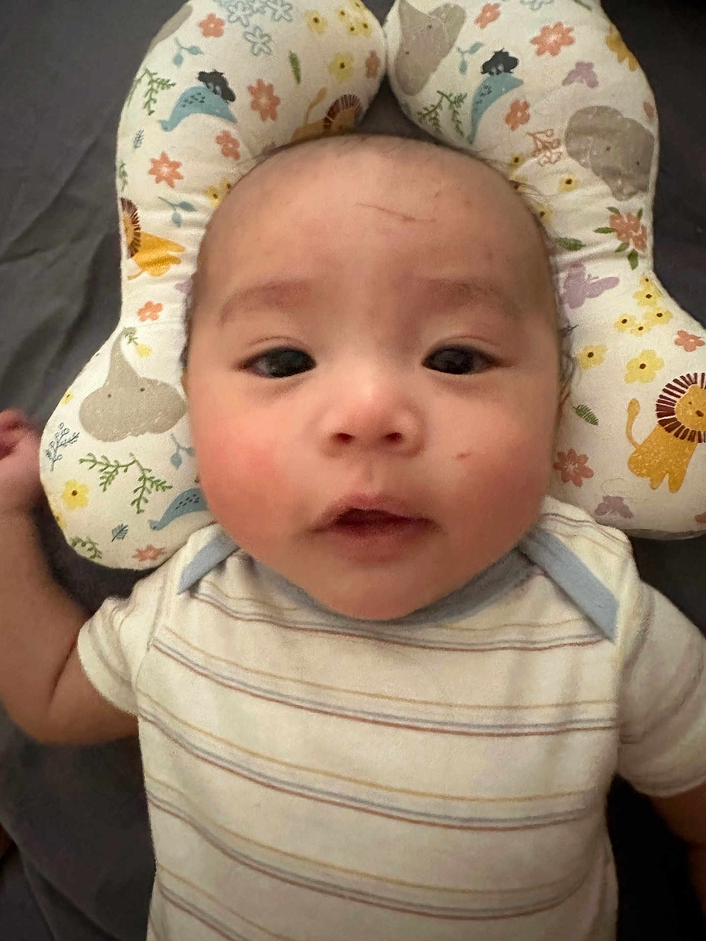 Sebastian joined the competition — help win amazing prizes! baby, infant, face, pillow, striped_shirt, animal_pattern, cute, child, portrait, lying_down, soft_toys, head_support, indoors, young_child, skin, expression, comfort, sleeping_area, newborn, person