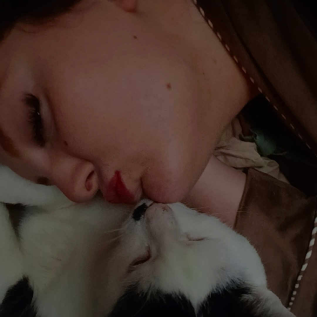 Mickey participe au concours pour gagner de l'argent avec cette photo : child, cat, sleeping, cuddling, portrait, face, close_up, indoor, dim_lighting, black_and_white_cat, pet, affection, peaceful, lying_down, bed, blanket, brown_clothing, whiskers, eyes_closed, candid