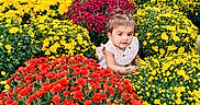 Adhya joined the competition — help win amazing prizes! baby, child, toddler, flowers, chrysanthemums, garden, flower_shop, outdoors, portrait, smiling, sitting, floral, colorful, red_flowers, yellow_flowers, pink_flowers, nature, plants, summer, photography
