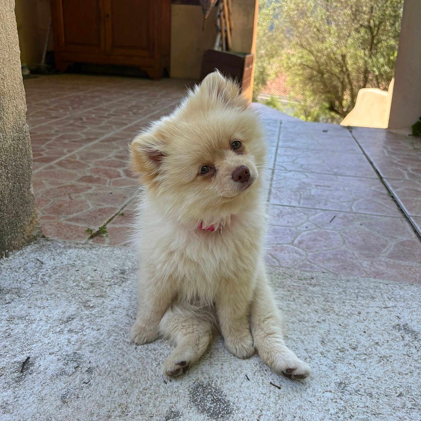Bianca