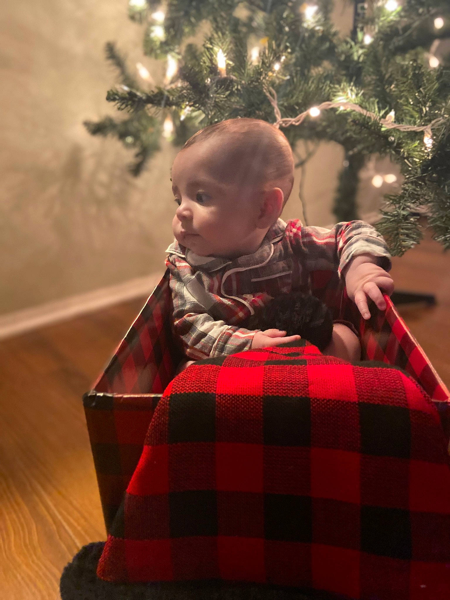 Addison joined the competition — help win amazing prizes! baby, baby_toddler_clothing, christmas_ornament, christmas_tree, face, facial_expression, fun, hair, hairstyle, happy, human_body, light, person, plaid, plant, sleeve, standing, tartan, toddler, tree