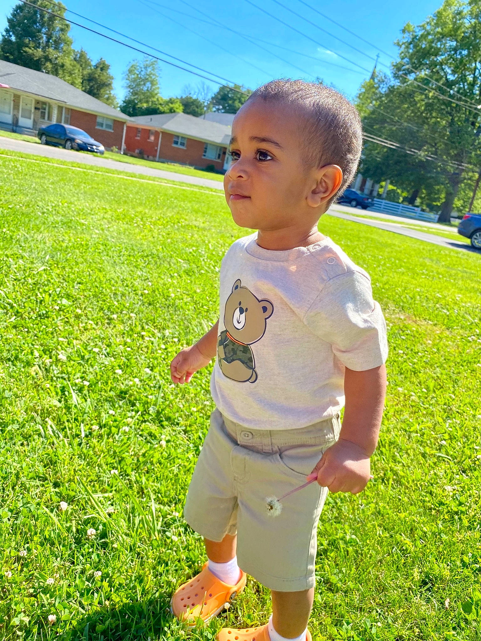 Emir joined the competition — help win amazing prizes! baby, baby_toddler_clothing, cool, daytime, grass, grassland, green, happy, leaf, leisure, people, people_in_nature, person, plant, public_space, shorts, sky, summer, sunlight, toddler