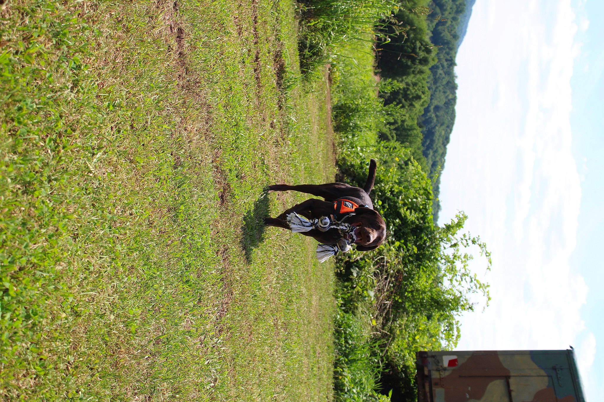 Zeke is registered to the contest to win money with this photo: adventure, automotive_tire, cloud, extreme_sport, grass, grassland, landscape, pasture, plant, prairie, recreation, shrub, sky, soil, tire, toy, tree, trunk, vehicle, wheel