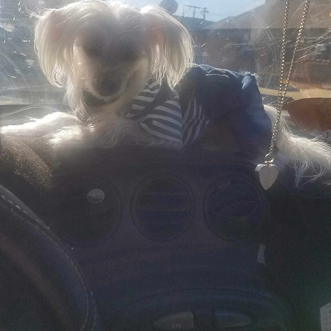 Lil Miss
