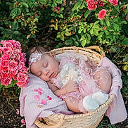 Aurora joined the competition — help win amazing prizes! baby, sleeping, basket, pink, flowers, greenery, blanket, headband, outdoor, nature, infant, lace, soft, cute, peaceful, portrait, flower_petals, garden, toddler, rest