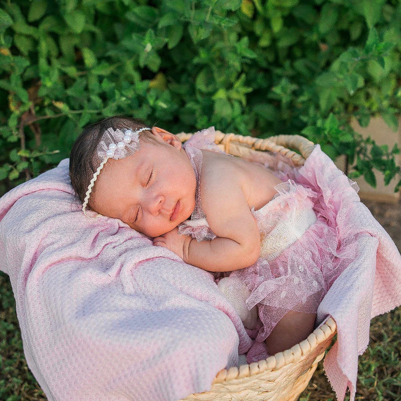 Aurora joined the competition — help win amazing prizes! baby, basket, blanket, cozy, cute, grass, greenery, headband, infant, nature, newborn, outdoor, peaceful, pink, portrait, resting, sleeping, soft, tulle, woven_basket