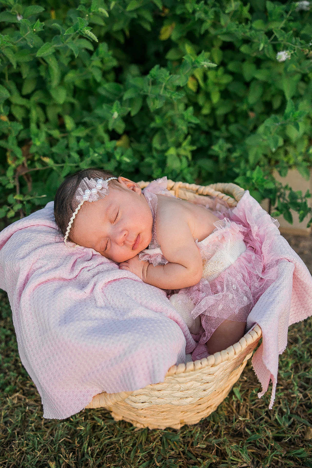 Aurora joined the competition — help win amazing prizes! baby, sleeping, basket, pink, blanket, headband, outdoor, grass, greenery, infant, cute, peaceful, newborn, portrait, tulle, soft, nature, resting, cozy, woven_basket
