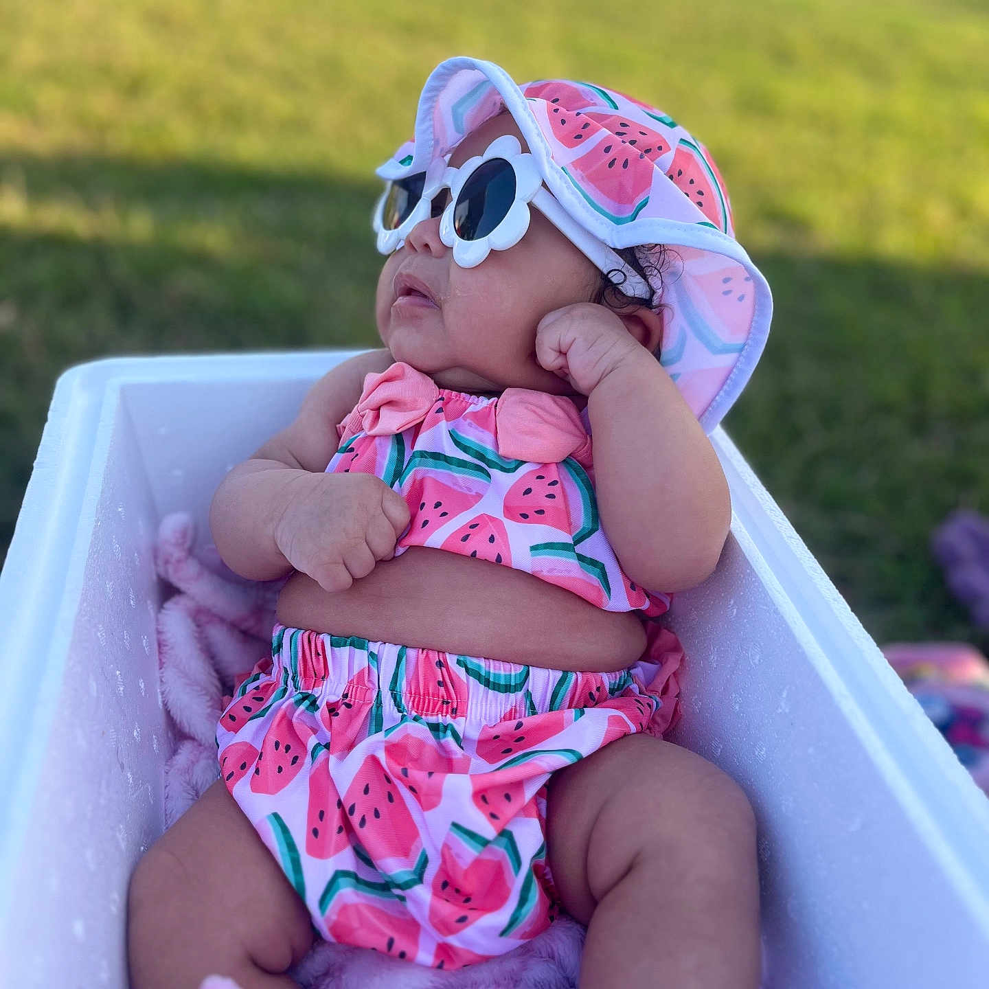 Amelia