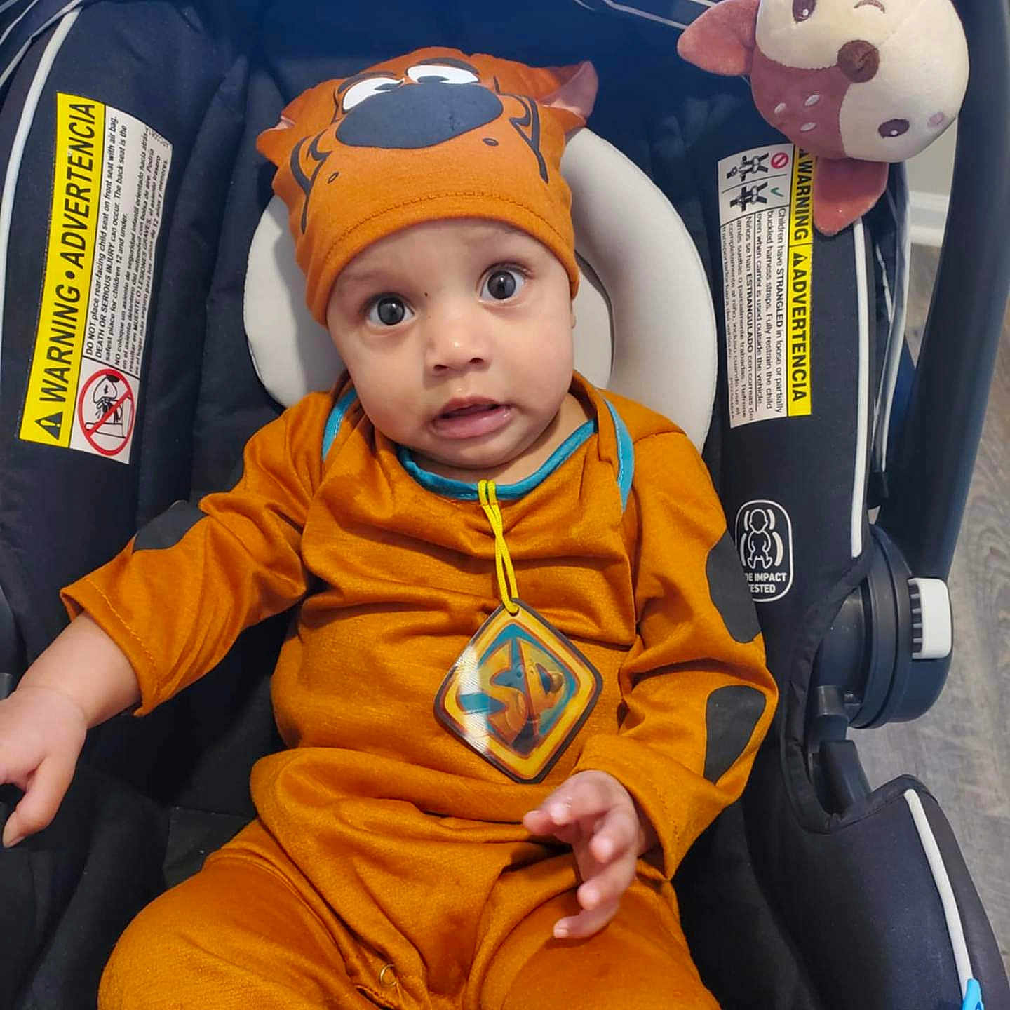 Destiny is registered to the contest to win money with this photo: accessories, baby, cap, clothing, coat, cushion, face, happy, hat, head, homedecor, jacket, person, photography, portrait, sitting, sunglasses, toy, transportation, vehicle